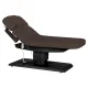 Electric SPA Treatment Table Sillon Relax, Dark Brown