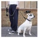 Purlov Reflective Dog Leash with Handle, 3m, Black