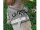 Soft Harness with Leash for Dogs and Cats, Size M, Grey