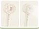 Shower Head, 5 Functions, with Button, Cream
