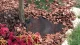 Non-Woven Mulching Fabric Geotextile TENAX Full Cover, 1.80 x 3 m, Black