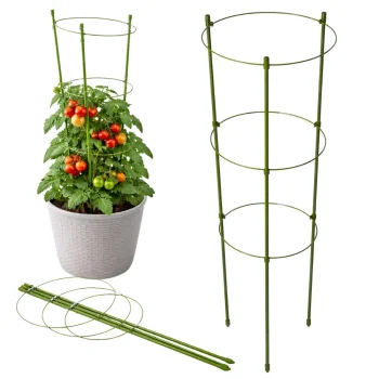 Plant Support with 3 Rings 60cm Green DIVODV