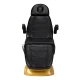 Electric Cosmetic Chair Sillon Lux 273B 3 Motors Gold Black