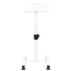 Activeshop 117 Pedicure Footrest, White