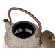 Bredemeijer Jiangxi 153203 0.7L Cast Iron Teapot with Filter, Beige