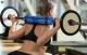 4Fizjo 553 Barbell Pad, Blue