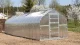 Greenhouse KLASIKA STANDART 20, 2.5x8m with Foundation and 4mm Polycarbonate