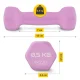 4FIZJO 7 kg Cast Iron Dumbbell Set with Stand