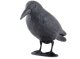 Realistic Raven Bird Scarer Decoy for Gardens and Balconies