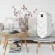 Carruzzo Pro Air Purifier with Ionizer, HEPA 13 Filter and WiFi