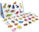 Animal Fridge Magnets in English, 40 Pcs in Metal Tin