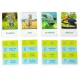 On the Trail Educational Animal Trivia Board Game for Kids 8+ Alexander