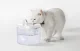 Rojeco 1.5L Pet Water Fountain - Ultra-Quiet Automatic Dispenser Cats & Dogs