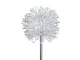 Solar Garden LED Lamps Dandelion Firework 70cm, Warm Light, 2 Pcs