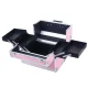 Cosmetic Case CA34C, Silver-Pink