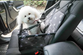 Petsi ME11 Car Seat Pet Carrier for Dogs and Cats, Black