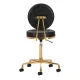 Activeshop H5 Cosmetic Stool with Backrest, Black/Gold