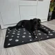 Purlov XXL Dog Bed 100x70 cm