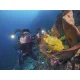Sealife Sea Dragon 5000+ Color Boost Video Light Head