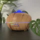 Fragrance Diffuser Air Humidifier LB-23510, 400ml