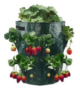 Strawberry planting bag with drainage holes for fruit bushes, green