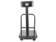 Electronic Platform Scale with Backrest 300kg LCD