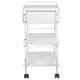 Giovanni 1019A Cosmetic Table with Drawer, White