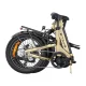 Folding Electric Bike ENGWE L20 3.0 Pro 250W 20\", Gold