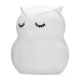 Redleaf Silly Owl Silicone LED Night Light for Kids, RGB, 700 mAh