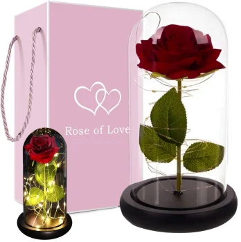 Eternal Rose in Glass Dome with LED Light, Red