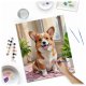 Massido Corgi Paint by Numbers Kit 40x50 cm - DIY Pet Art Canvas