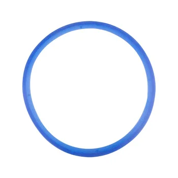 Lafomed Silicone Gasket for 8 L Autoclaves