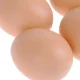 Искусственное яйцо-подклад для кур, 1 шт., коричневое