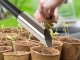 Garden Trowel for Planting Seeds and Bulbs, 22.5 cm
