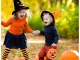 Large Halloween Pumpkin Candy Bucket with Lid, Orange