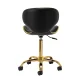 Gabbiano Q-4599G Beauty Stool with Backrest, Black
