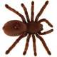 RC Tarantula Spider with Remote Control, Brown
