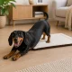 Fabric Pet Mat Bed for Dogs and Cats, 50x35 cm, Dark Brown