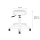 Hydraulic Beauty Salon Stool AM-303-2 White