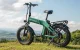 ENGWE EP-2 3.0 Boost 250W 20\" Folding Electric Bike, Green