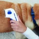 Electric Flea Comb for Dogs and Cats