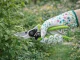 DIVODV Garden Pruning Shears for Branches and Shrubs, 22 cm, Green