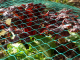 Heavy-Duty Bird Netting for Garden and Crop Protection 14 x 8m