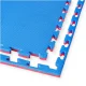 4Fizjo 594 Puzzle Protective Mat for Fitness Equipment, 100 x 100 cm, Blue/Red