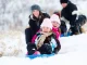 Plastic sled with backrest, brakes and pull rope, assorted colors