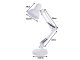 Adjustable Desk Lamp Folding Reading Night Table Lamp E27, White
