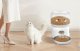 Automatic Pet Feeder Rojeco 3L Button Version - White Smart Dispenser