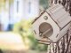 DIY Wooden Birdhouse Kit for Self-Assembly and Painting