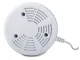 Facial Steamer and Inhaler Purple