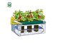 Vegetable Growing Box Set KLASIKA GARDEN BASIC